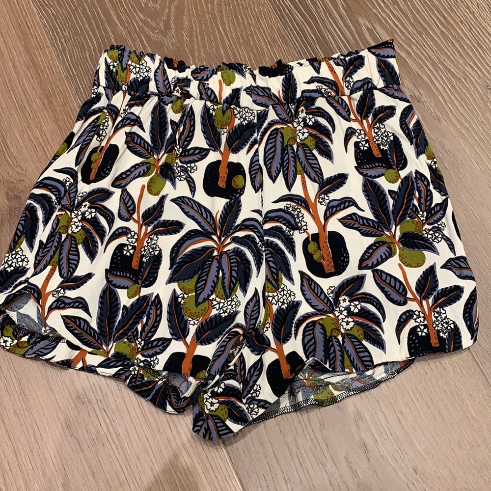 Zara Shorts